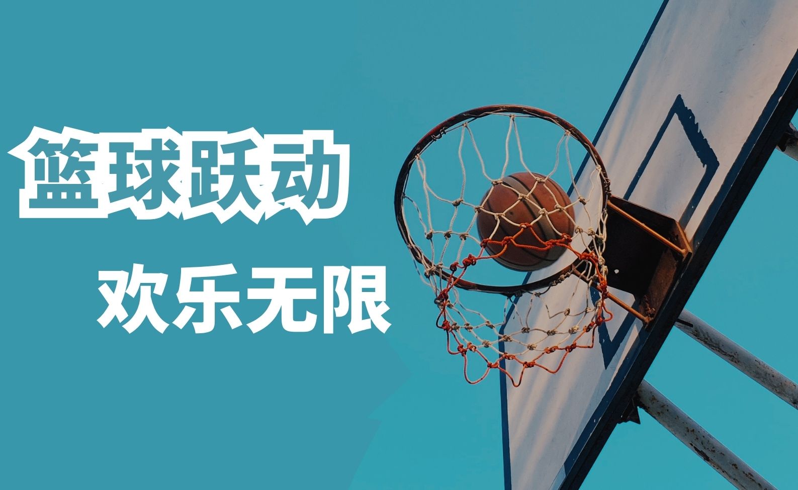 篮球跃动，欢乐无限！中标合信夏日篮球嘉年华精彩上演